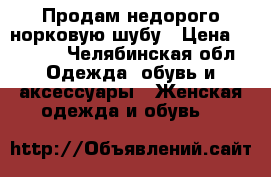 Продам недорого норковую шубу › Цена ­ 4 000 - Челябинская обл. Одежда, обувь и аксессуары » Женская одежда и обувь   